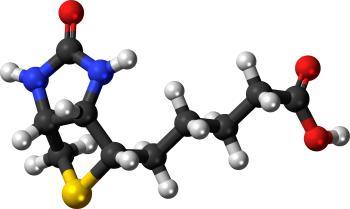 BB Die Rolle von B Vitaminen im Energiestoffwechsel 6 Zu sehen ist das Beitragsbild 6 zum Beitrag mit dem Thema: Die Rolle von B-Vitaminen im Energiestoffwechsel